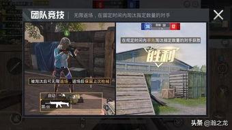 最新版和平精英爆料,全新内容与玩法大揭秘